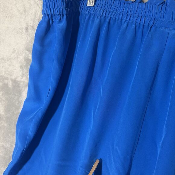 Vintage Diane Gilman 3X Plus 100% Silk Pants Elastic Waist Lightweight Blue READ - Picture 4 of 8